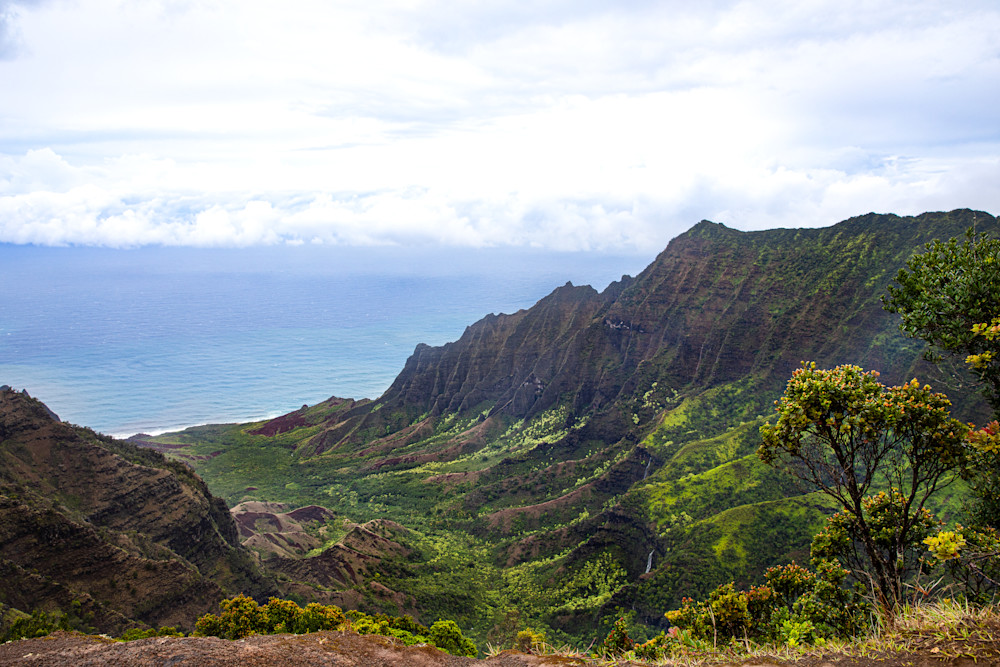 Kauai Series 12