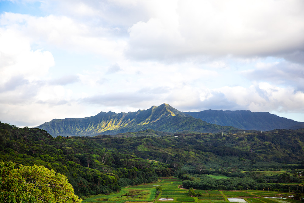 Kauai Series 2