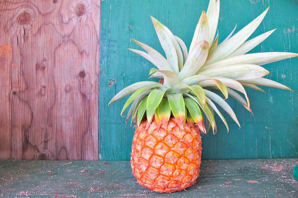 Local Pineapple Photography Art | Inspiring Images