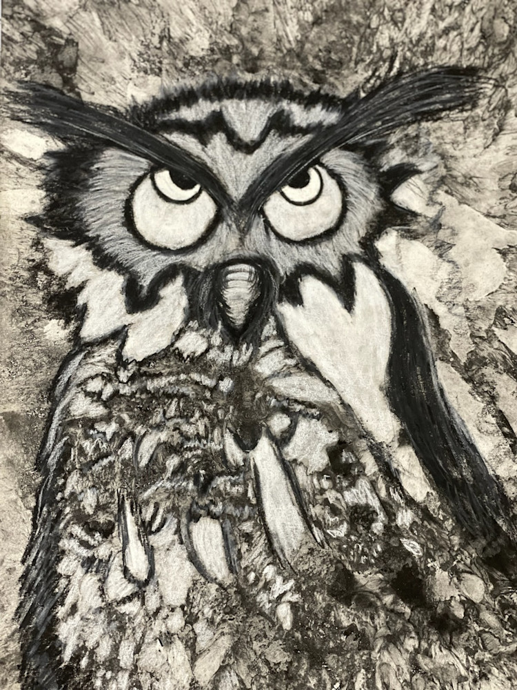 Abstract Owl Art | janfontenot