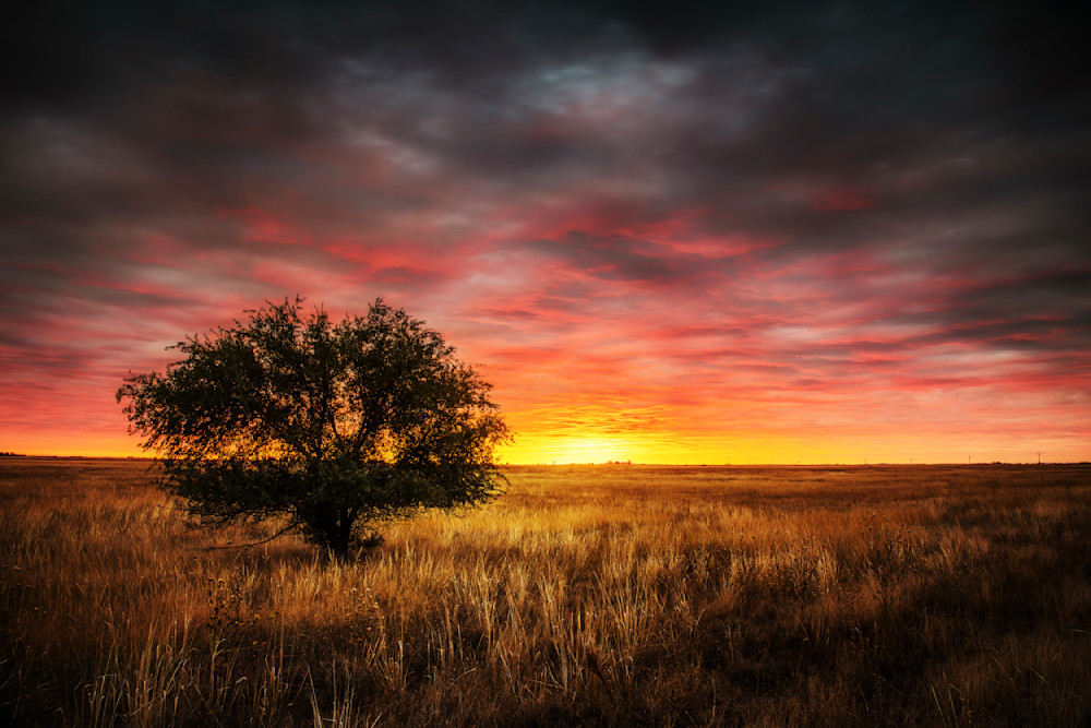 Alone on the Prairie — Colorado sunrise fine-art photography prints