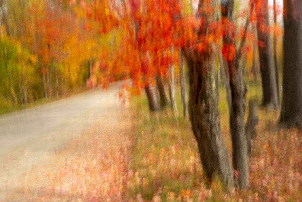 Dreamy October Road Photography Art | Anne Majusiak Photography