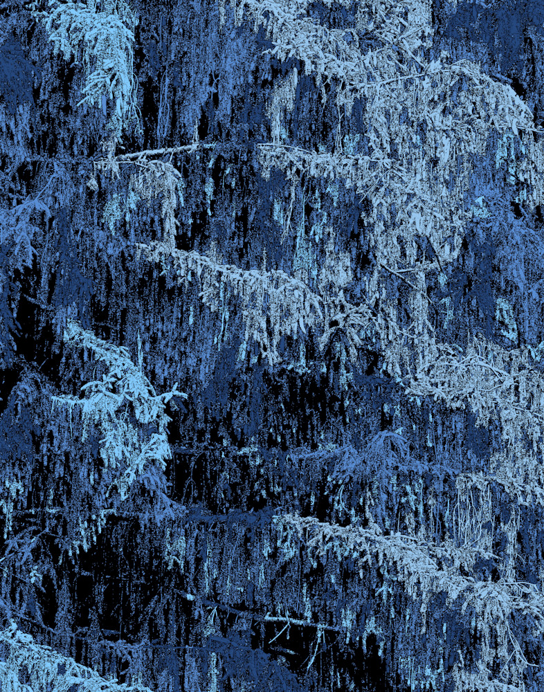 Denim Art | Blue Victory Gallery