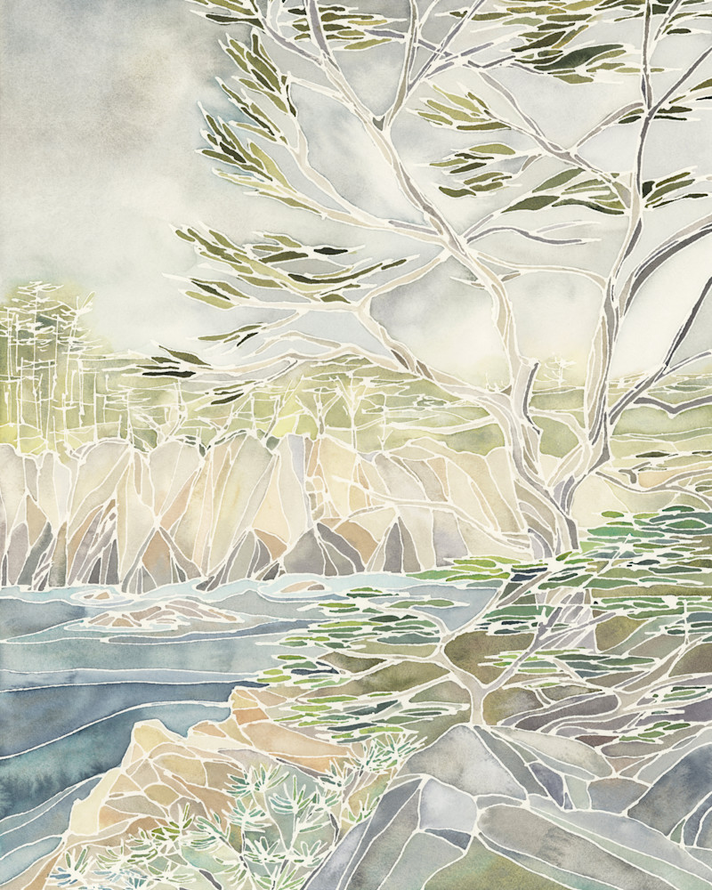 Cypress Grove, Carmel Art | Claudia Savage Art