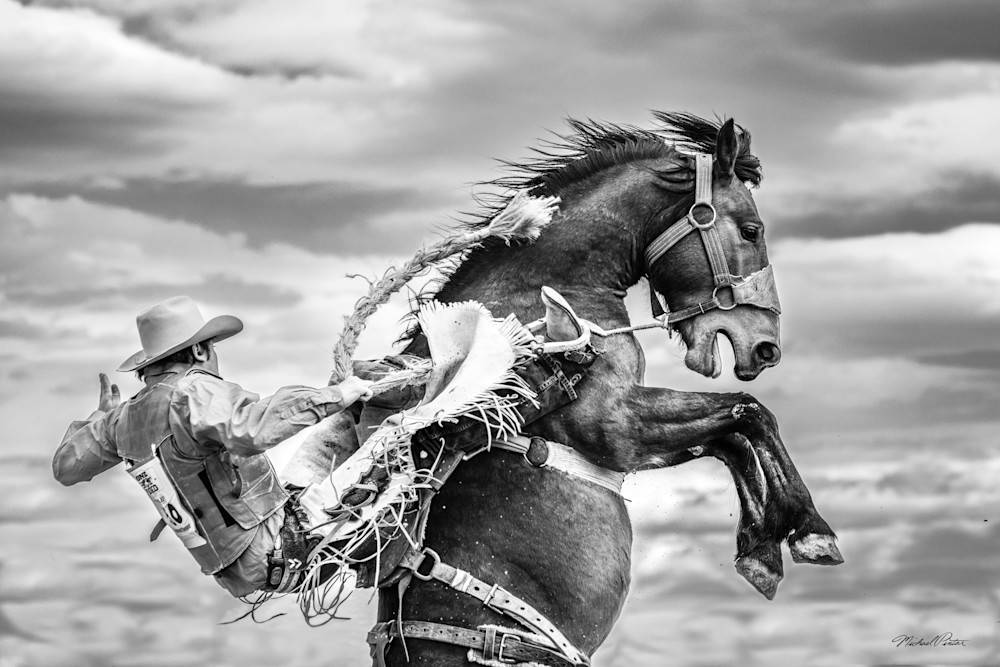 Saddle Salsa Ii Photography Art | Michael Pintar Photography