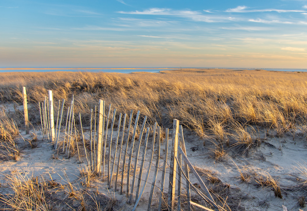 Amber Waves Of Dune Grass Photography Art | The Colors of Chatham