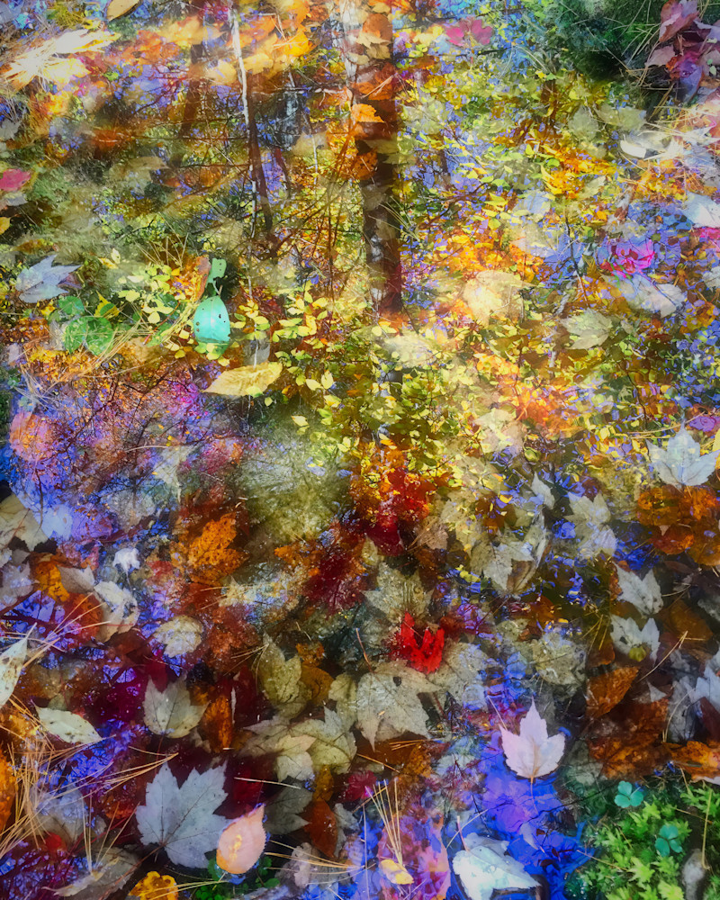 Autumn Reflection Photography Art | Anne Majusiak Photography