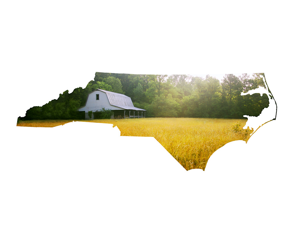 Nc Shape Bynum Barn Photography Art | Orange Cat Art