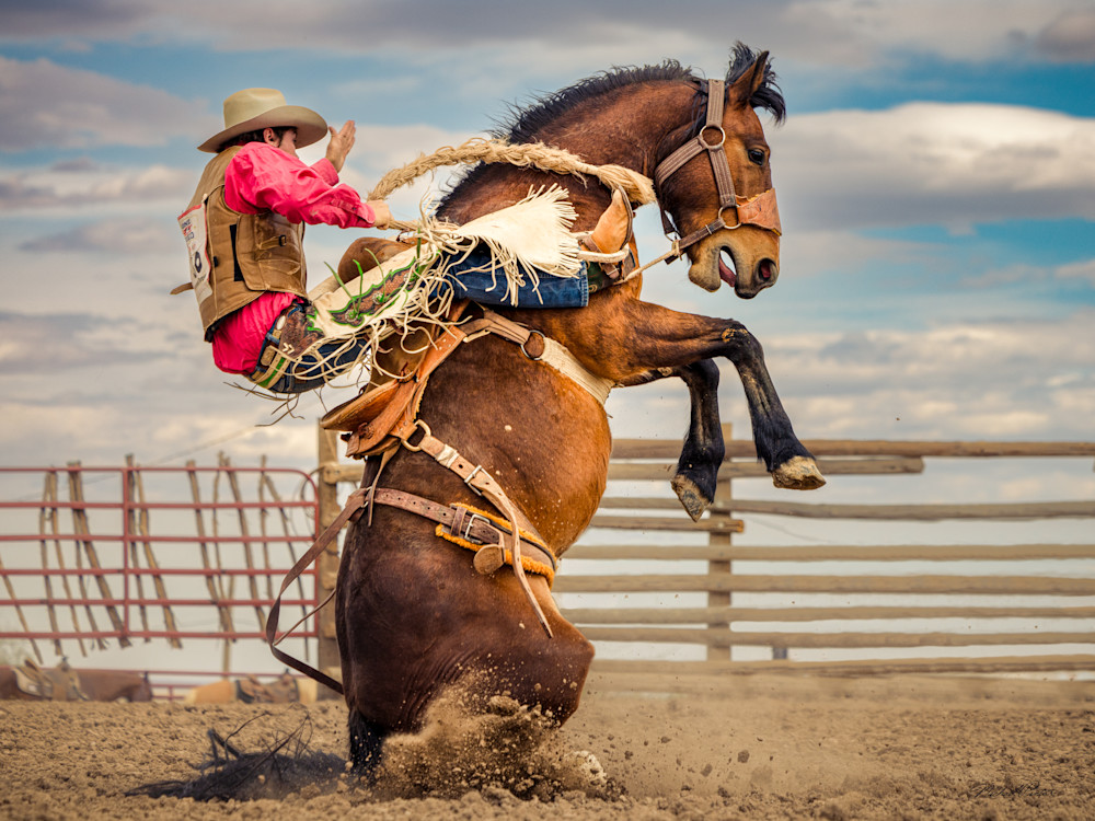 Saddle Salsa Photography Art | Michael Pintar Photography