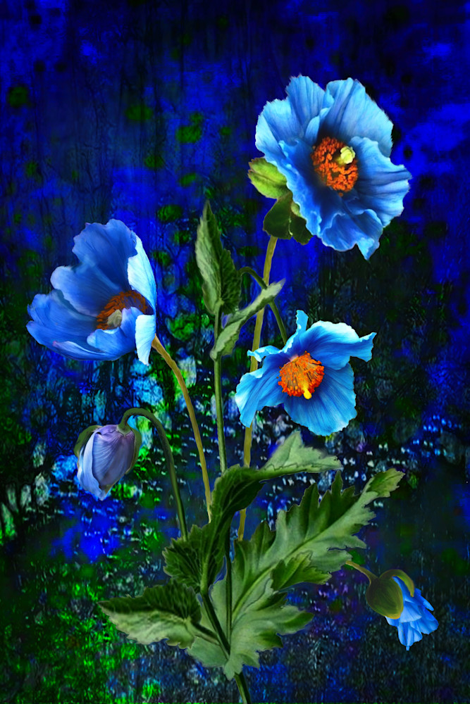 Blue Poppies Art | Light Pixie Studio