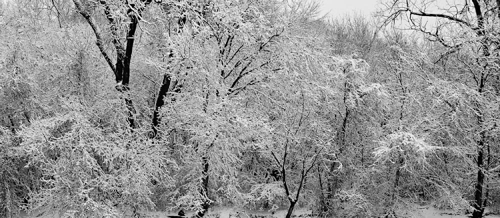 Winter Lace Photography Art | Chris Sandberg