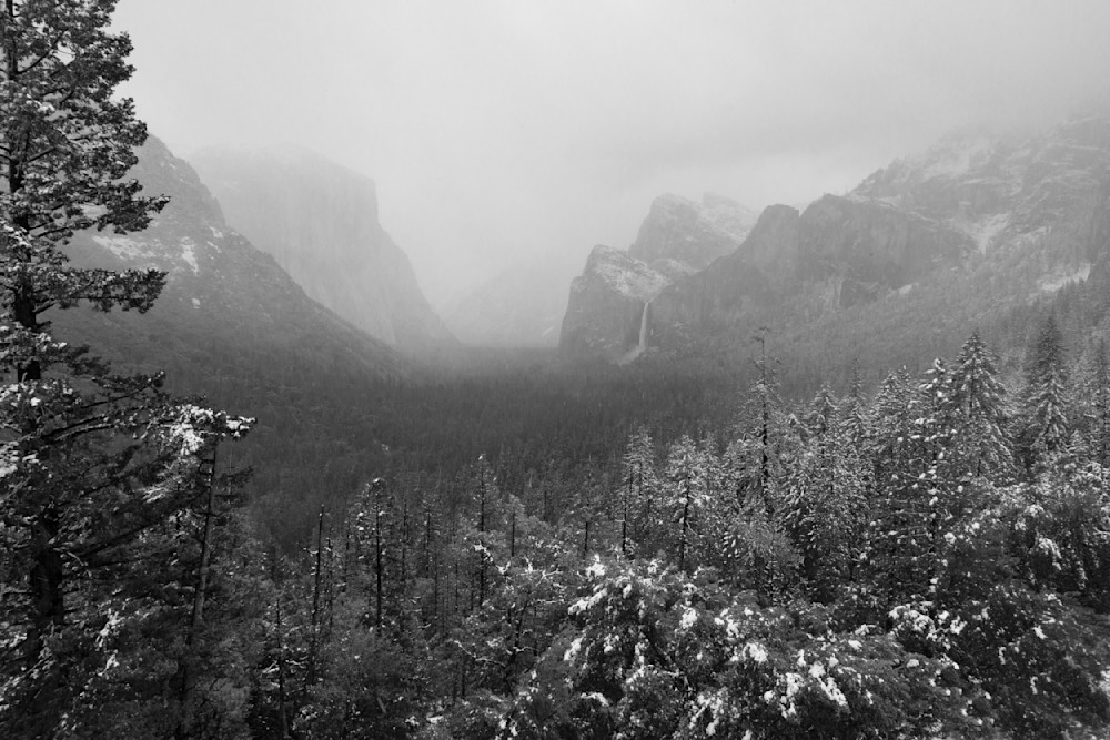 Fog In The Valley Photography Art | Chris Sandberg