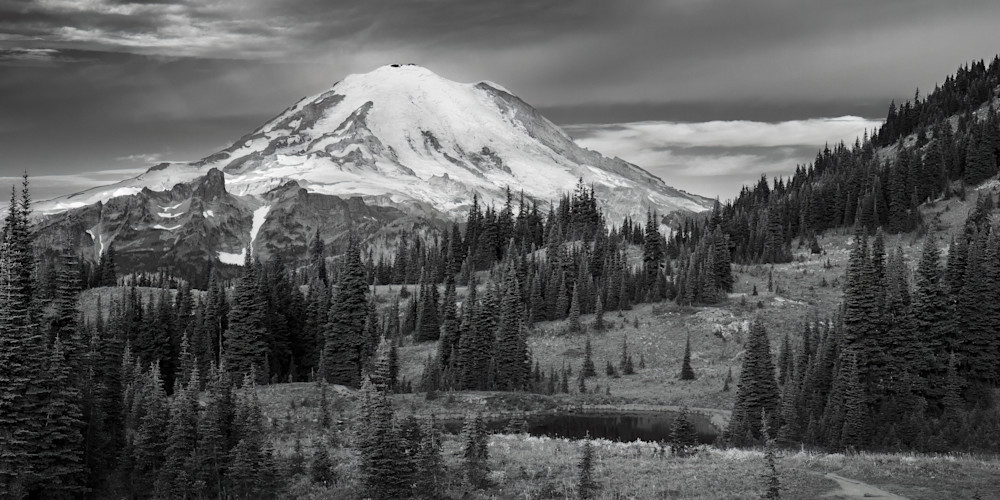 Alpine Meadows, Mt. Rainier, Washington, 2022