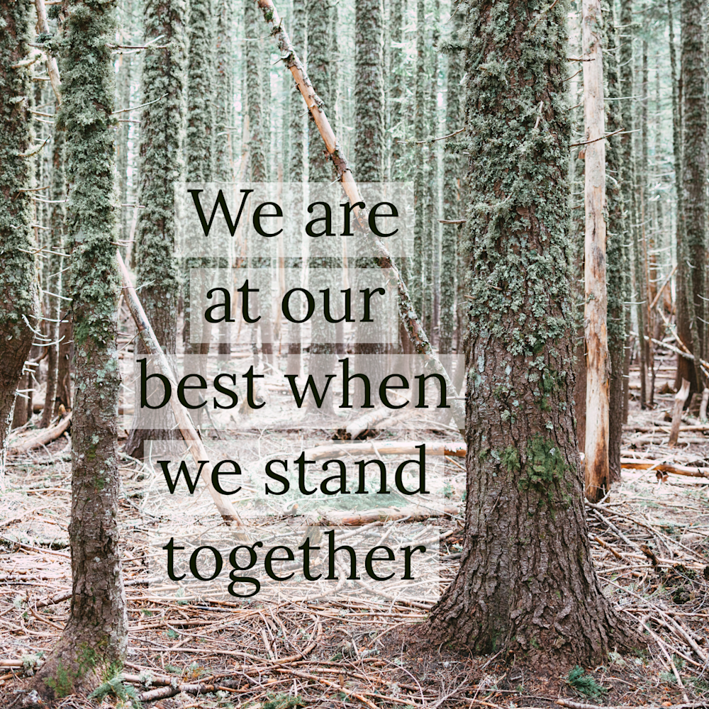 When we stand together poster