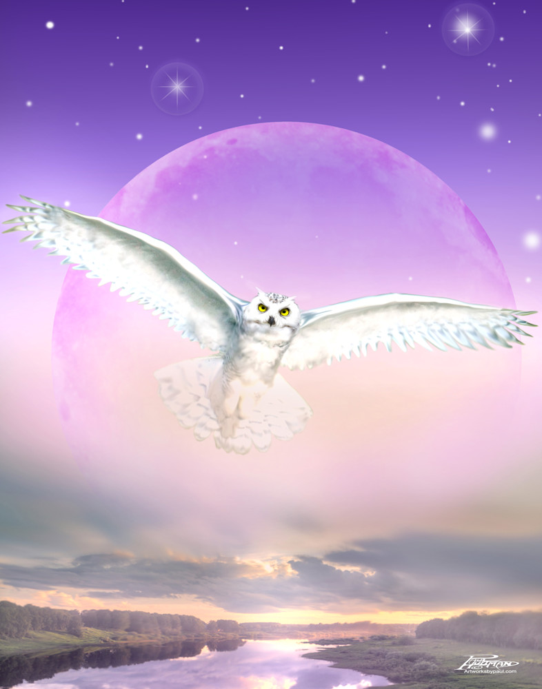 Night Owl Art | New Age Illustrations
