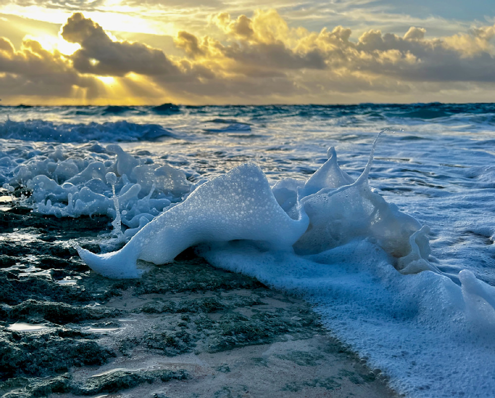 Majestic Elegance Photography Art | Amy Mesch Favreau Photography