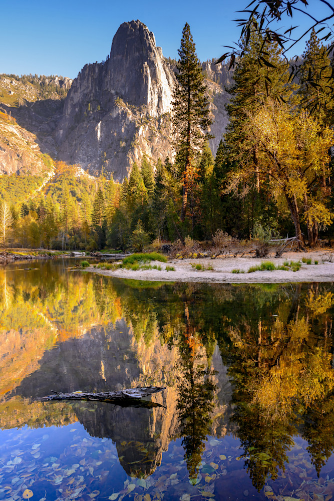 "Radiance" - Yosemite NP, CA- Renee Sullivan Photography - Fine Art Prints
