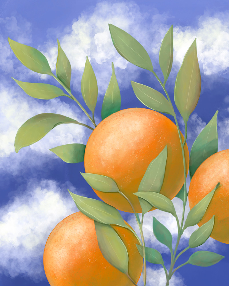"Orange Blossom" Digital Painting | Vibrant Orange Blossom Branch with 3 Oranges | Nature Art