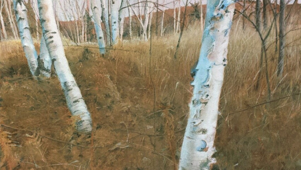 Birchfield Art | Steven Nesheim