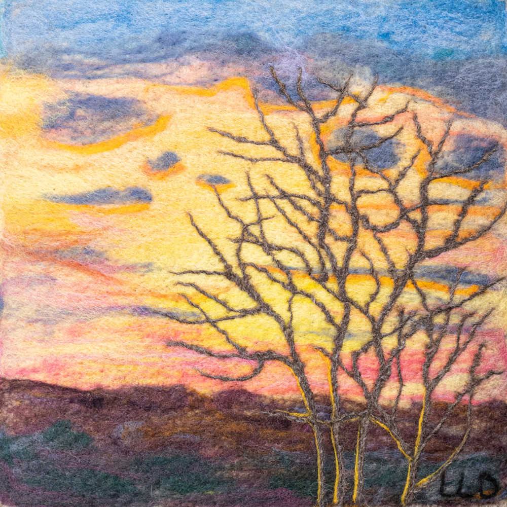 Sunset Through Branches Print Art | Linda Doucette Art