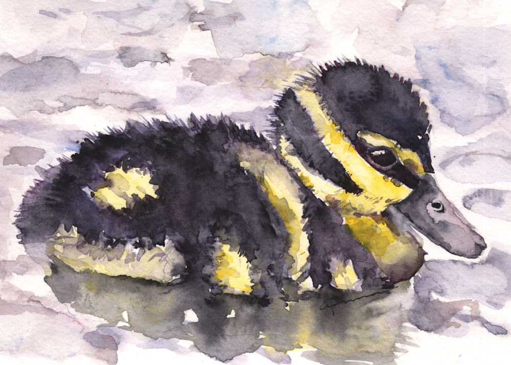 Black Bellied Whistling Duck Chick Watercolor Print | Claudia Hafner Watercolor