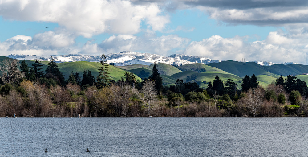Snow In The East Bay Hills Photography Art | Scott Capen Photography