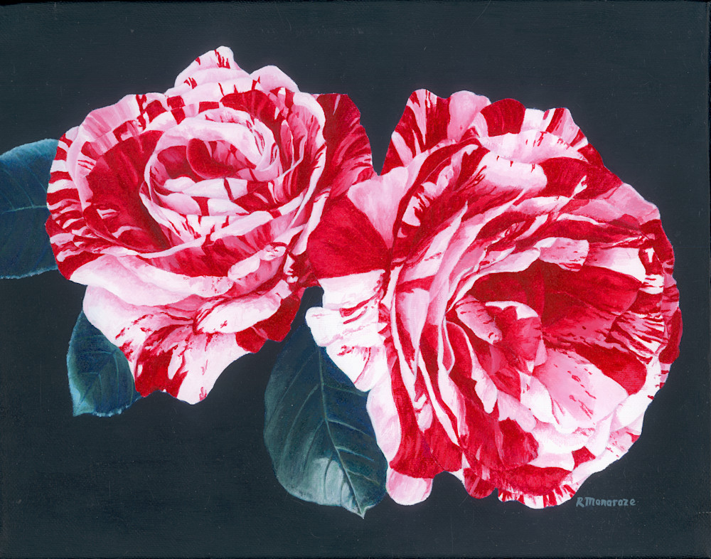 Candy Cane Roses Art | Rob Manaraze Art