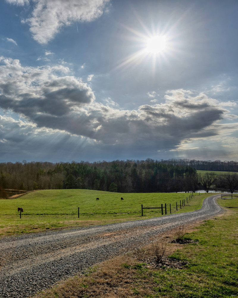 Spring Reveal : Oak Haven, North Carolina Photography Art | Brad Harper Photography