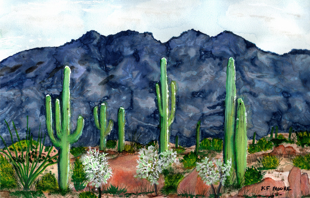 00075 Four Peaks With Saguaros Art | KF Moore Watercolors