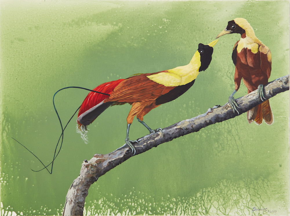 Red Birds Of Paradise Art | Bill Samios Studio