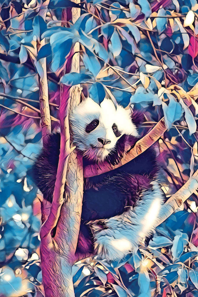 Tree_Panda
