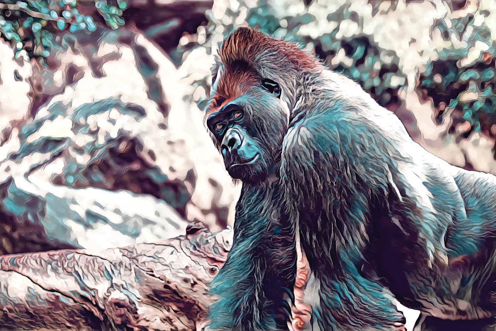 Gorilla