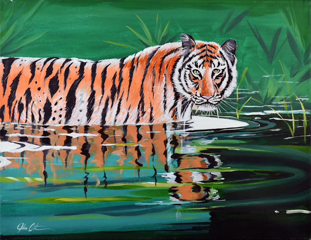 John Catalfamo   Tigers Reflection Art | John Catalfamo Art