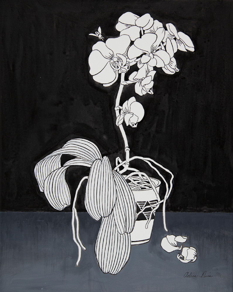 Orchid Art | Ailian Price