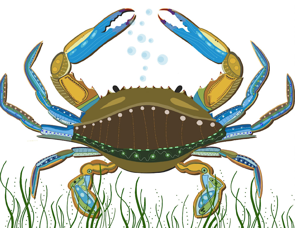 Blue Crab Art | jennifer Mrozek Weiss