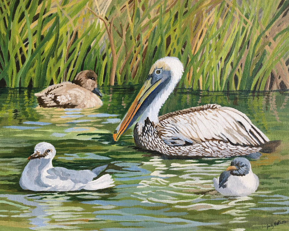 Pelican Two Gulls And A Duck Art | Judy's Art Co.