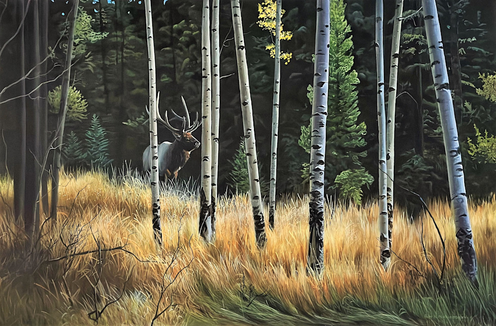 Into the Open elk print by Peter Mathios