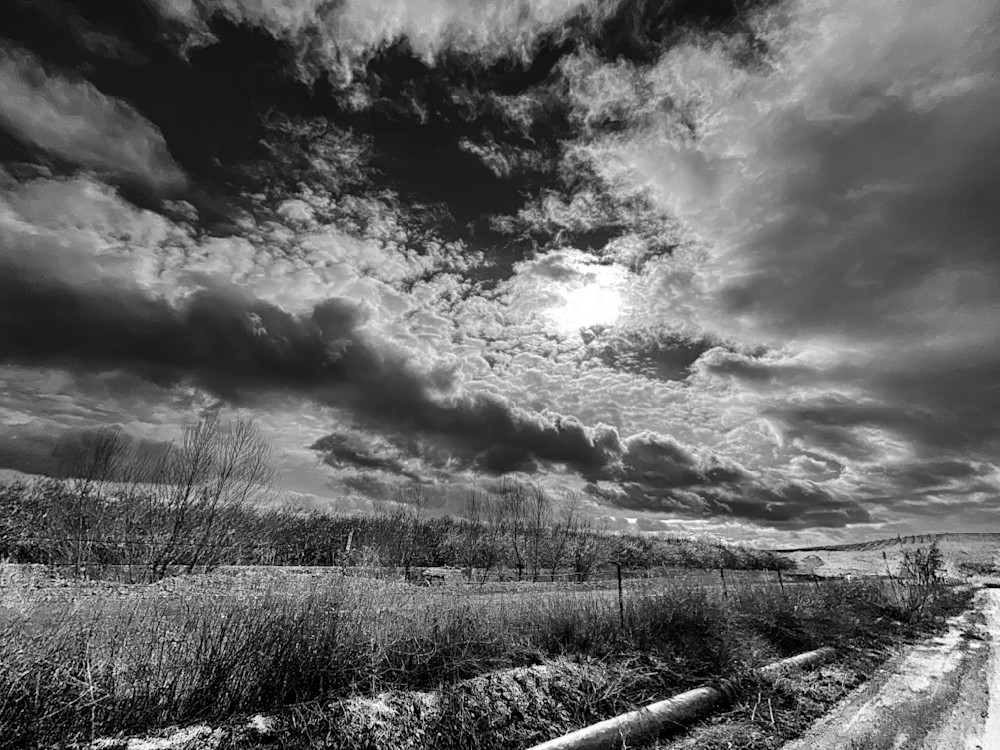 Spring storm clouds seem to race the truck path below an almond orchard at Barrios Farms.