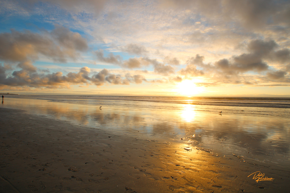 Del Mar Series Sunset Art | Whiskers and Waggers