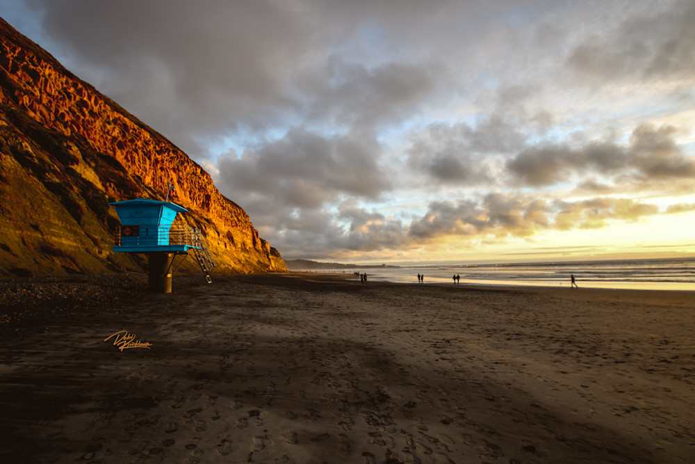 Del Mar Beach Series Tower 1 Art | Whiskers and Waggers