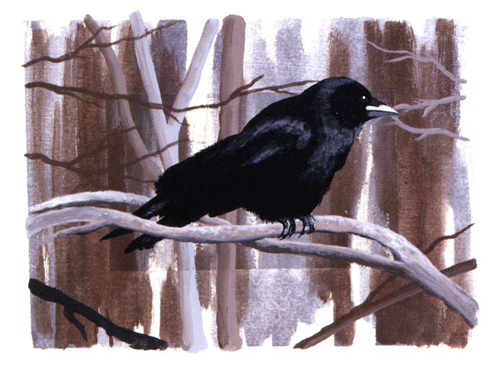 Crow Art | Frederick D Swarr LLC