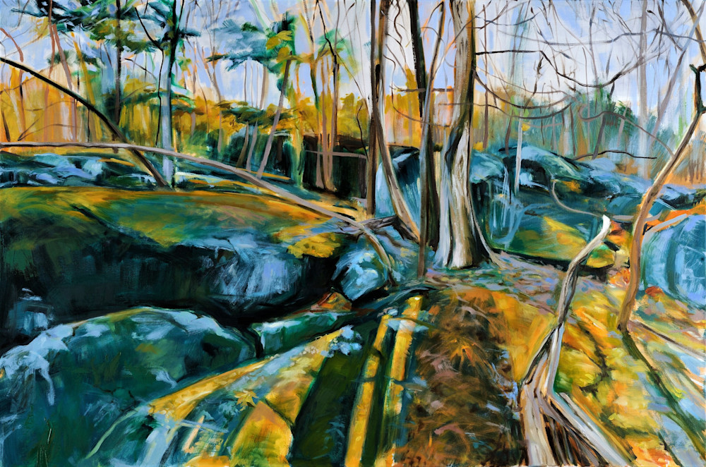 Trees And Boulders, Great Falls Maryland Art | EMT Fine Arts
