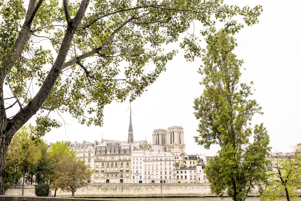 Paris, Notre Dame Cathedral and the Quai aux Fleurs