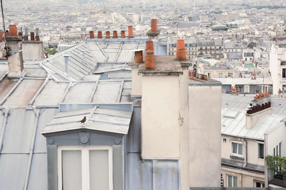 Paris rooftops and chimneys, with bird, from Montmartre