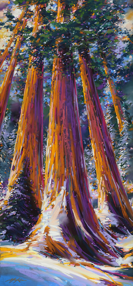 Sequoia Snow  Art | Michael Mckee Gallery Inc.