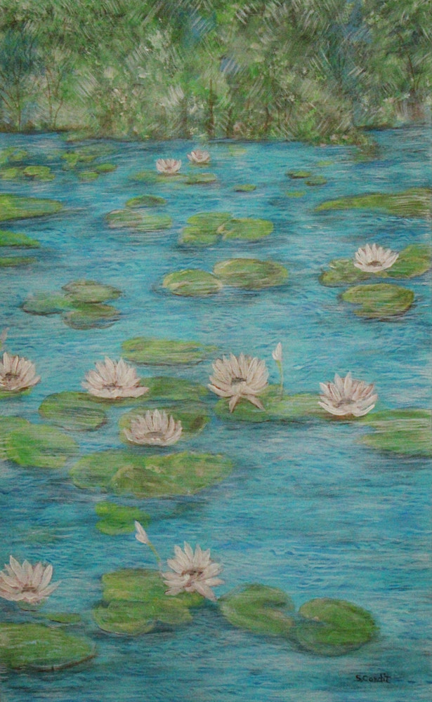 Sheryl Condit Art Print - Water Lily Pool
