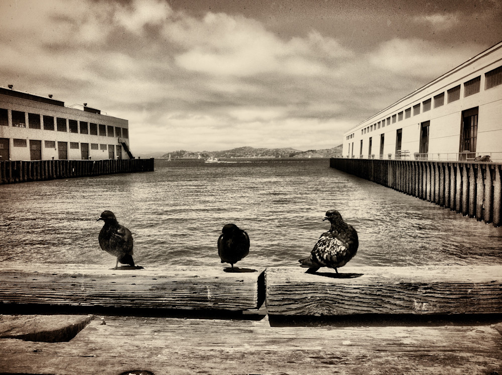 San Francisco Piers Photography Art | Randall Whitehead