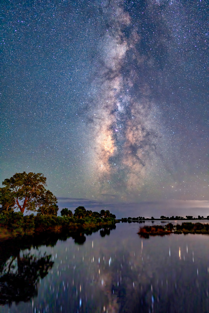 Tidal Pool Milky Way - Florida's Forgotten Coast