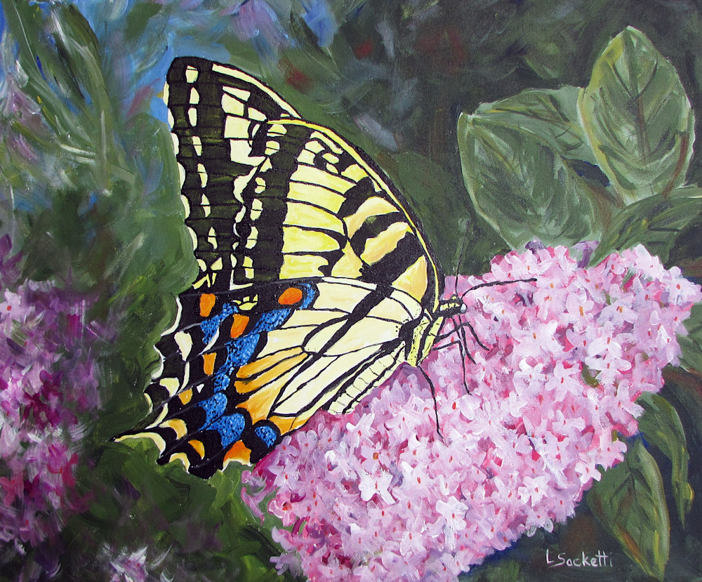 Female Tiger Swallowtail fine-art prints and merchandise | Linda Sacketti