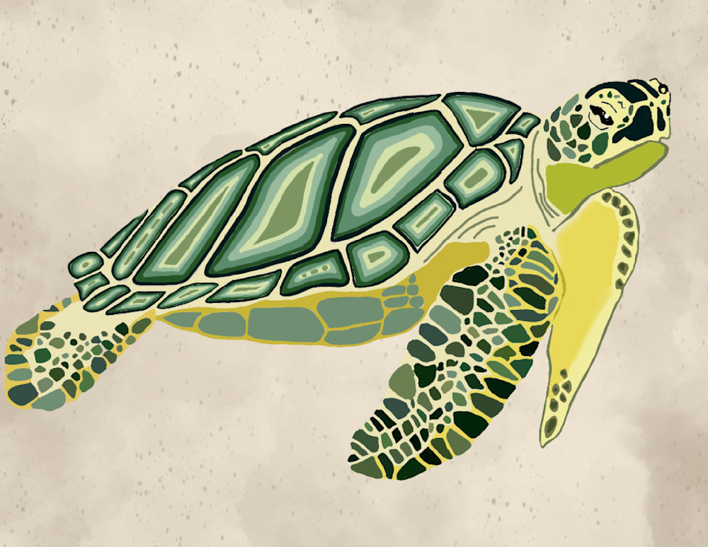Sea Turtle Art | jennifer Mrozek Weiss